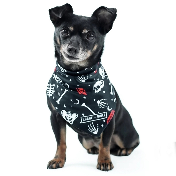 Rogue + Wolf ✦ “You Can’t Dig With Us” Reversible Pet Bandana ✦ Bones + Crystals - Picture 13 of 16
